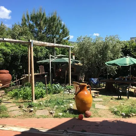 Πανσιόν Alba *