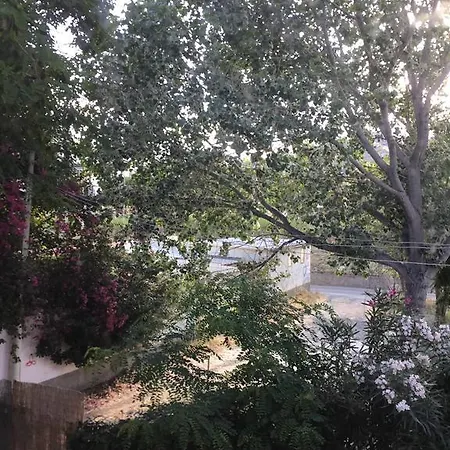 Alba Πανσιόν