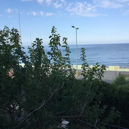 Alba