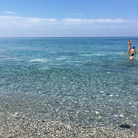Alba *